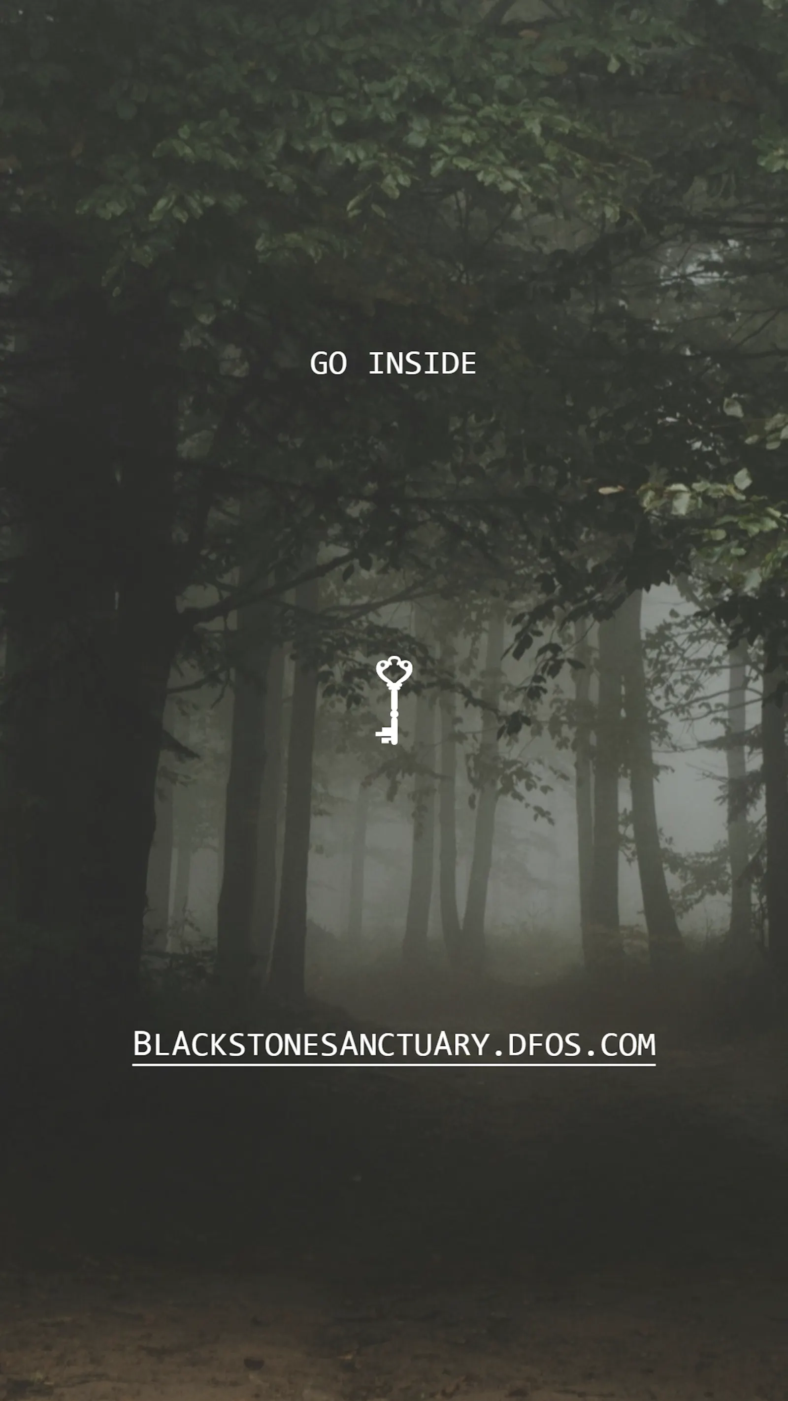 An Overview of What You'll Find in the BSS Dark Forest