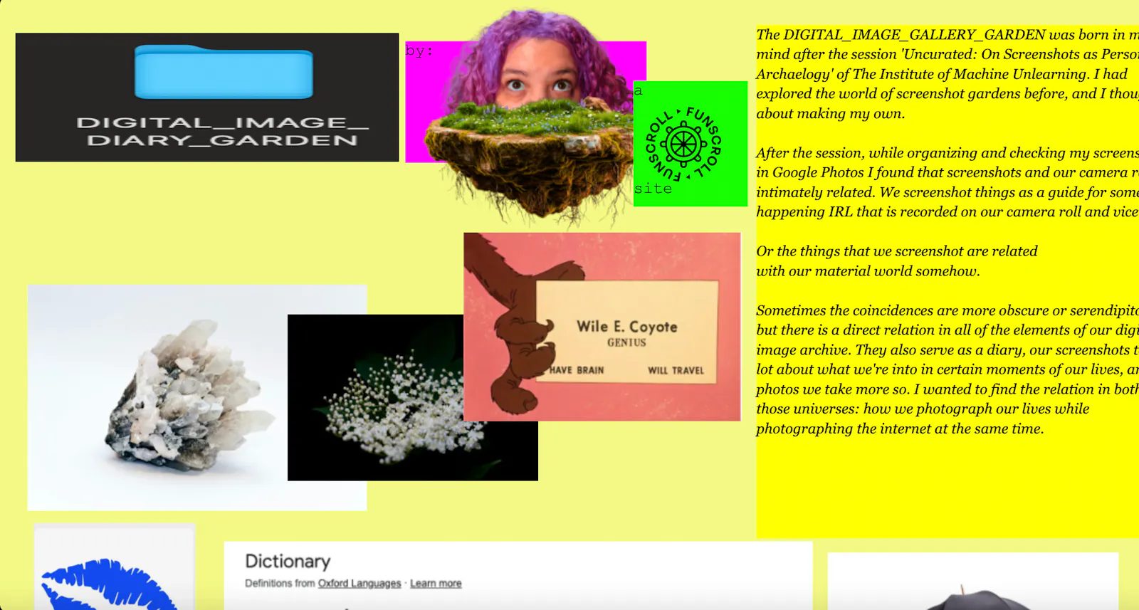 screenshots as a personal archive & diary