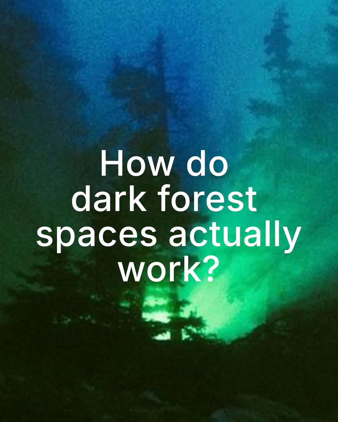 NCE 02.03: The economics of the dark forest
