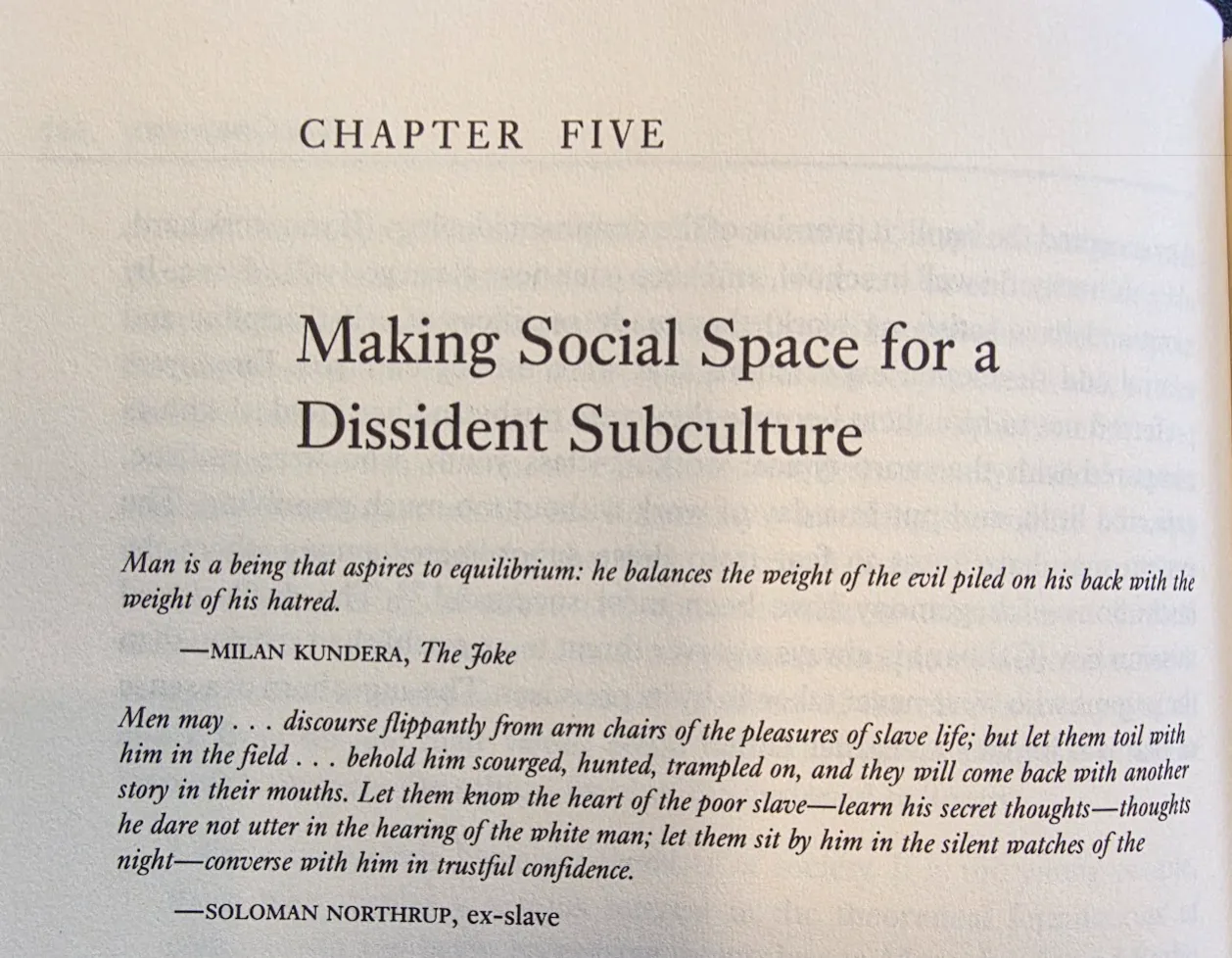 NCE.RG | Notes - Ch.5: "Making Social Space for a Dissident Subculture" (3/11)