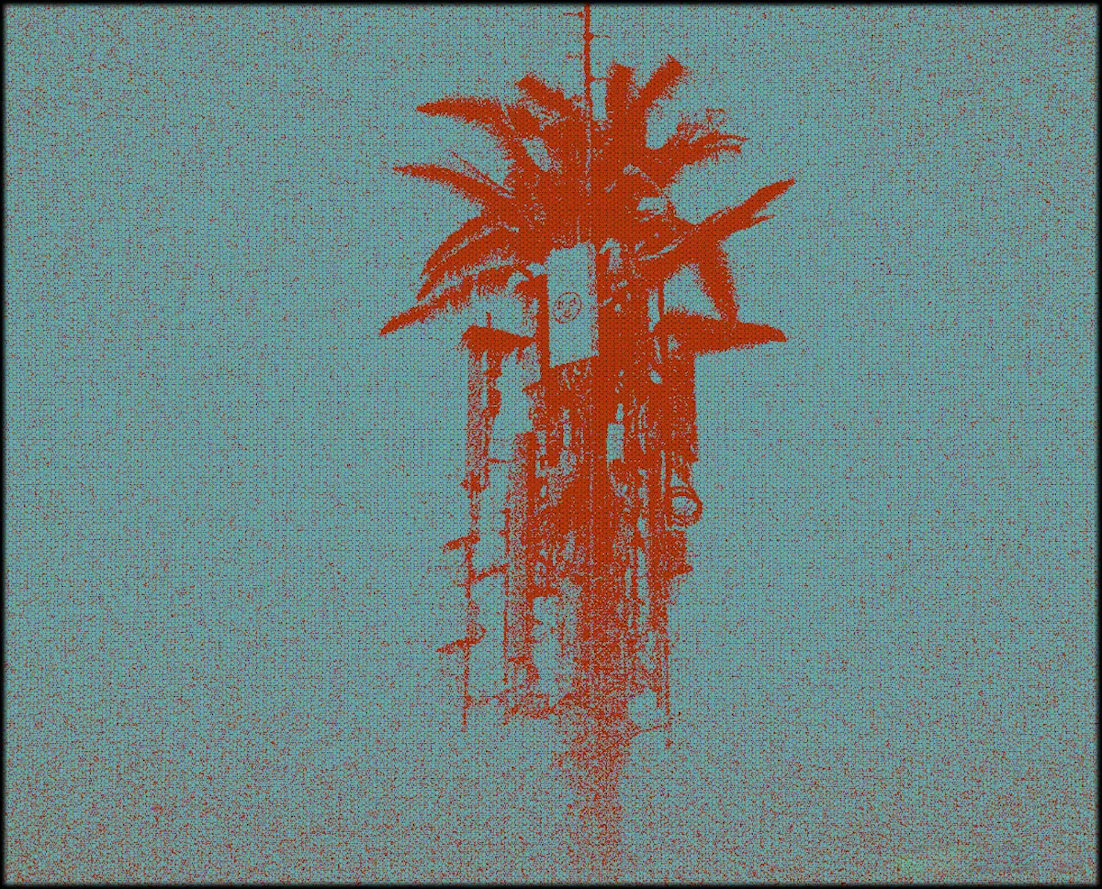 NCE.DFOS Week 02