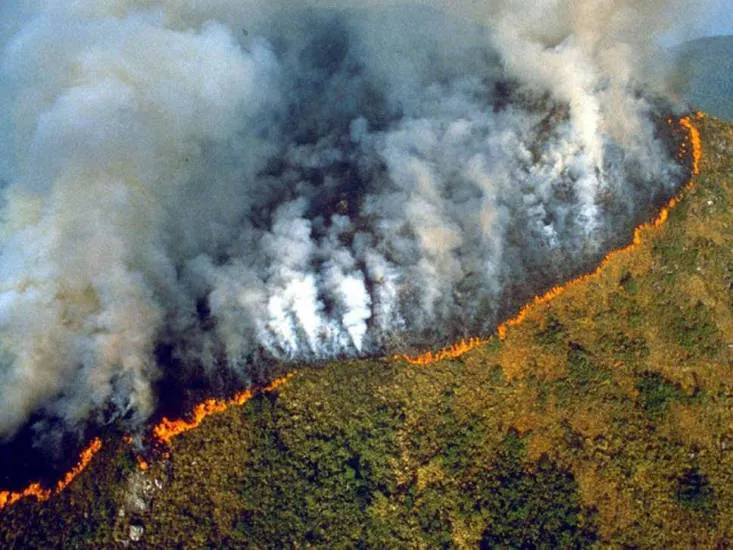 Life after reading "The Uninhabitable Earth"