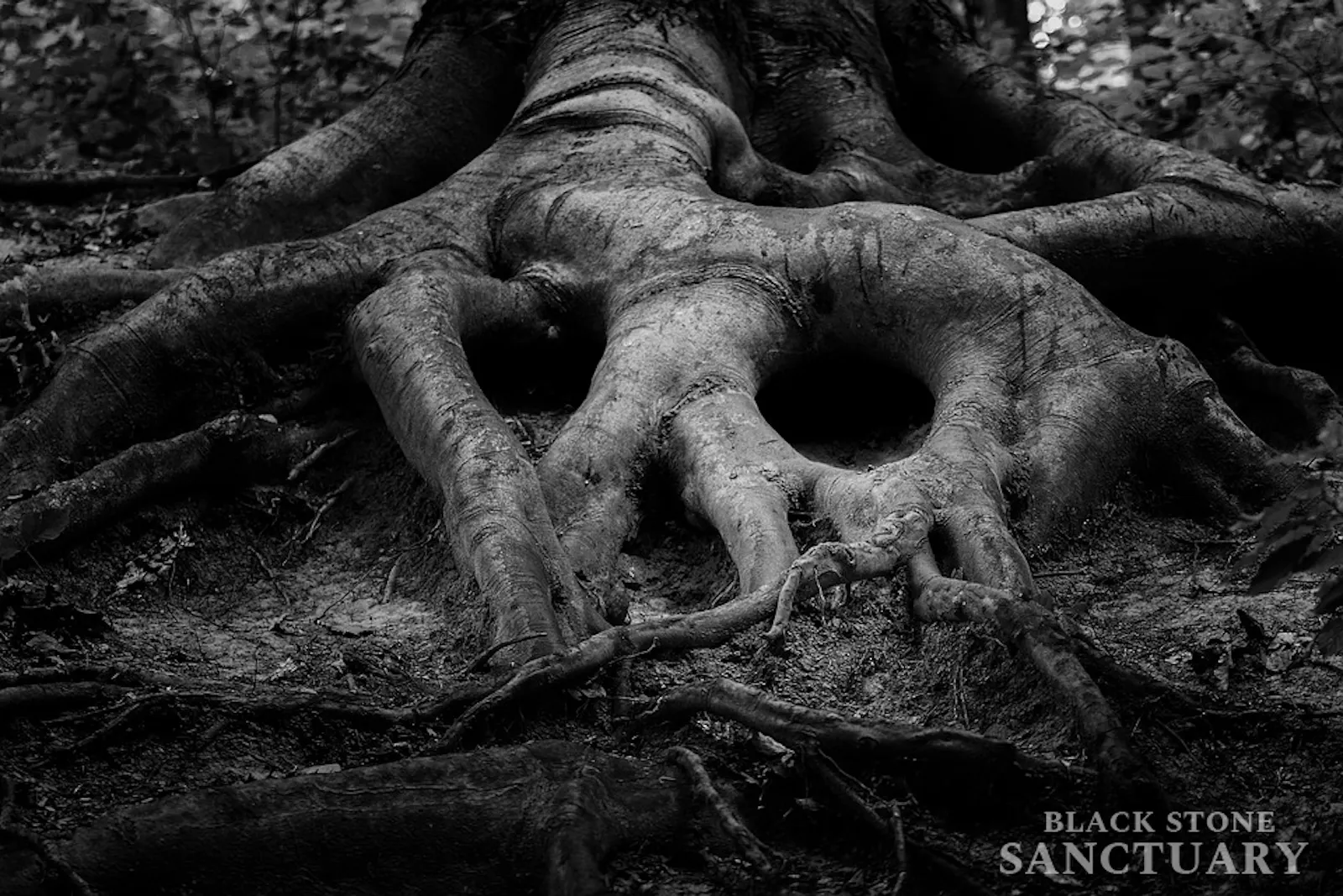 What is Sacred Endarkenment?